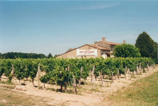 Château Petit-Clos-Figeac