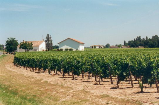 Château Grand Fortin