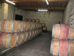 Chai à barriques du Ch. Mausse